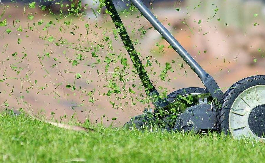 Jak dbać o obcinanie i pielęgnację psich pazurów by zachować komfort pupila