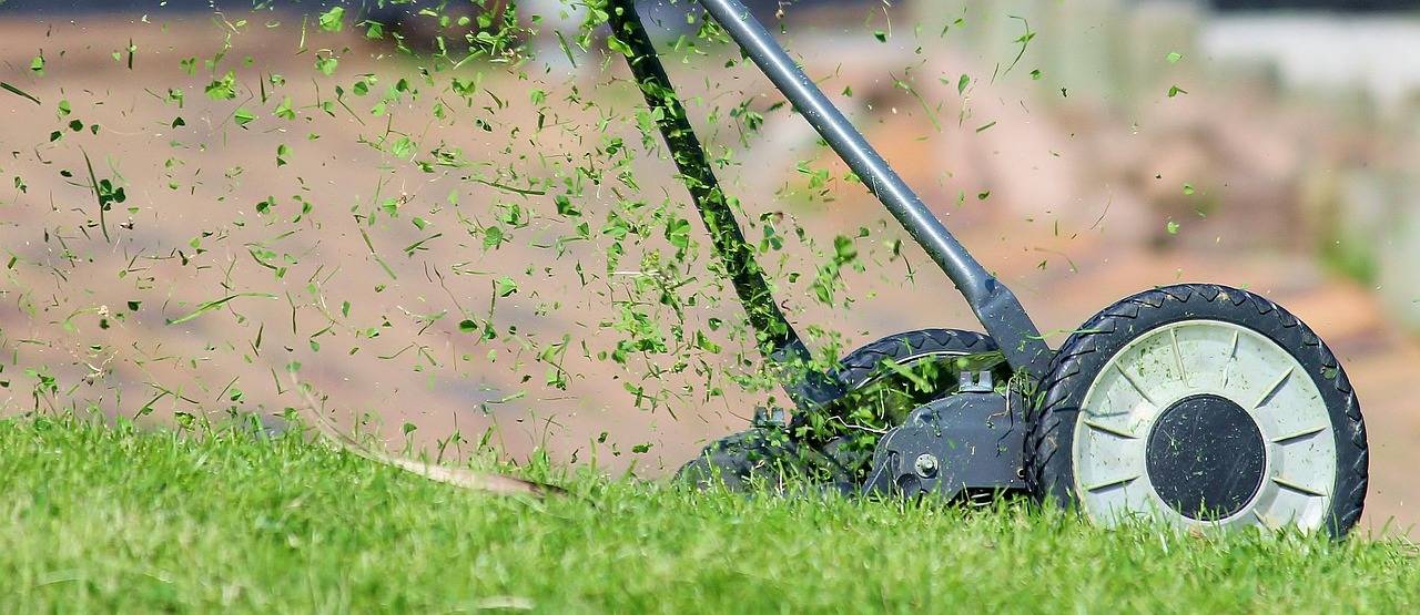 Jak dbać o obcinanie i pielęgnację psich pazurów by zachować komfort pupila